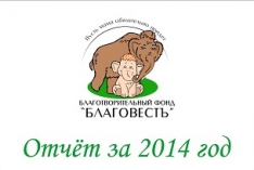 Отчет за 2014 год