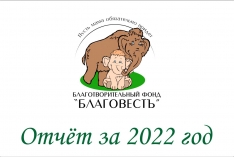 Отчёт за 2022 год